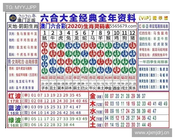 澳门彩中文站全面介绍各种彩票玩法和优惠活动助你轻松赢取大奖